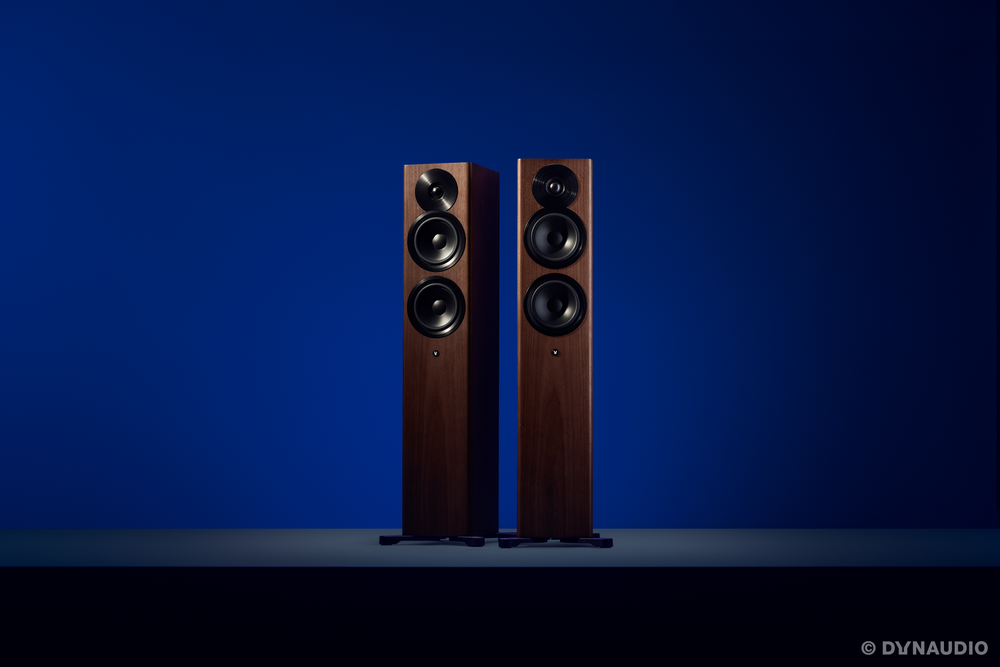Dynaudio Focus 30 Nussbaum