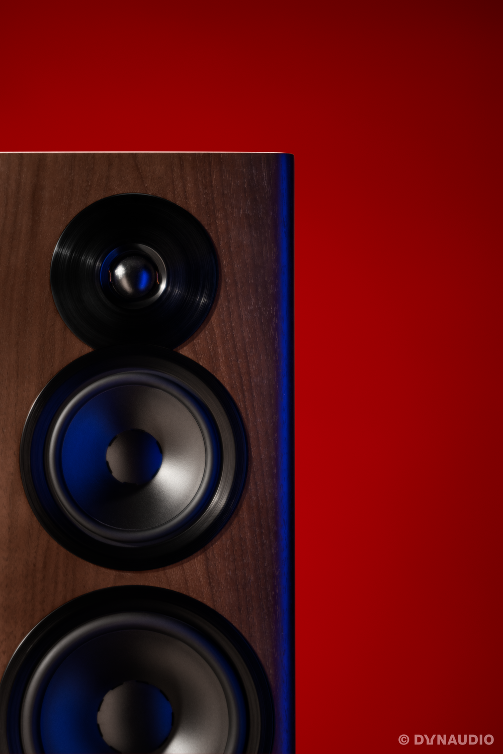 Dynaudio Focus 50 Nussbaum