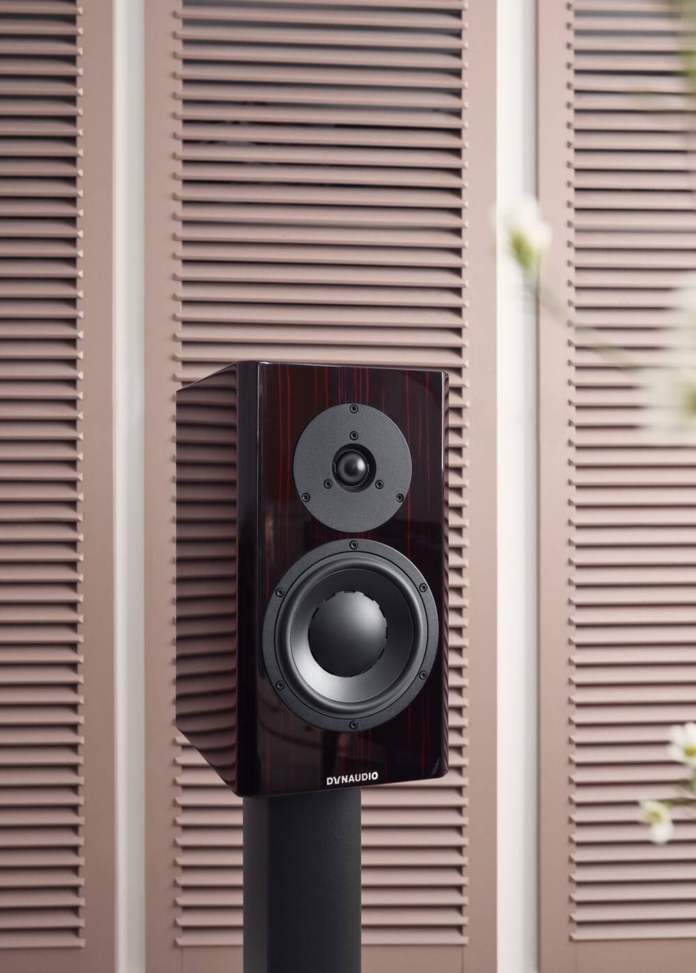 Dynaudio Special Forty