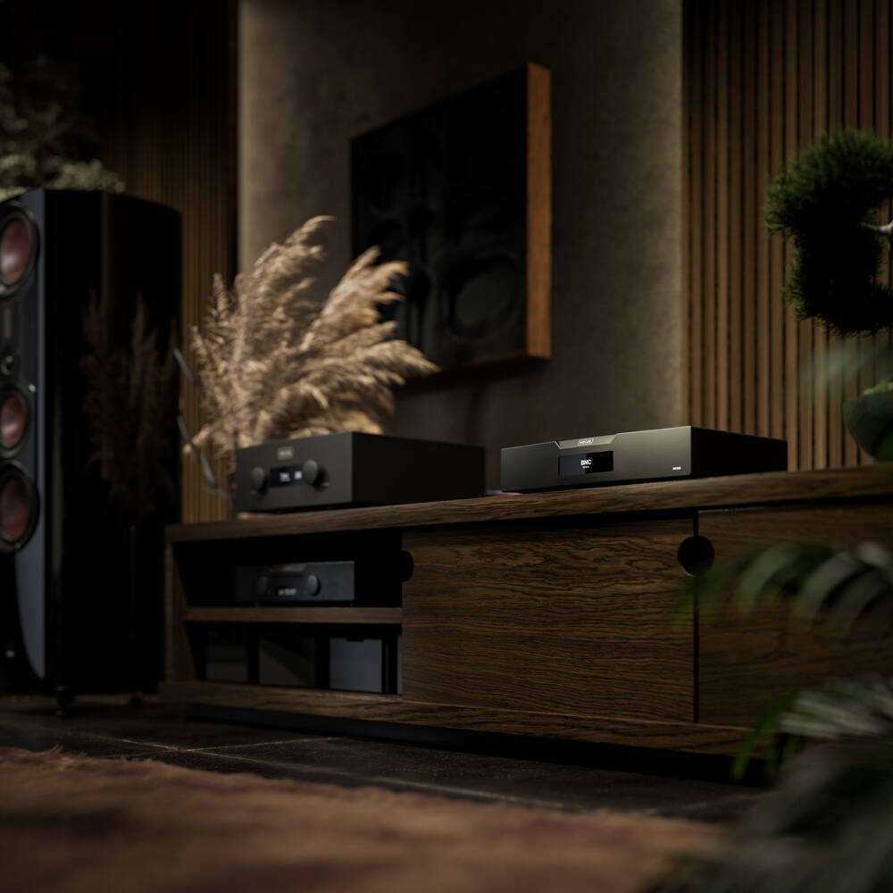 Hegel D50 (B-Ware)