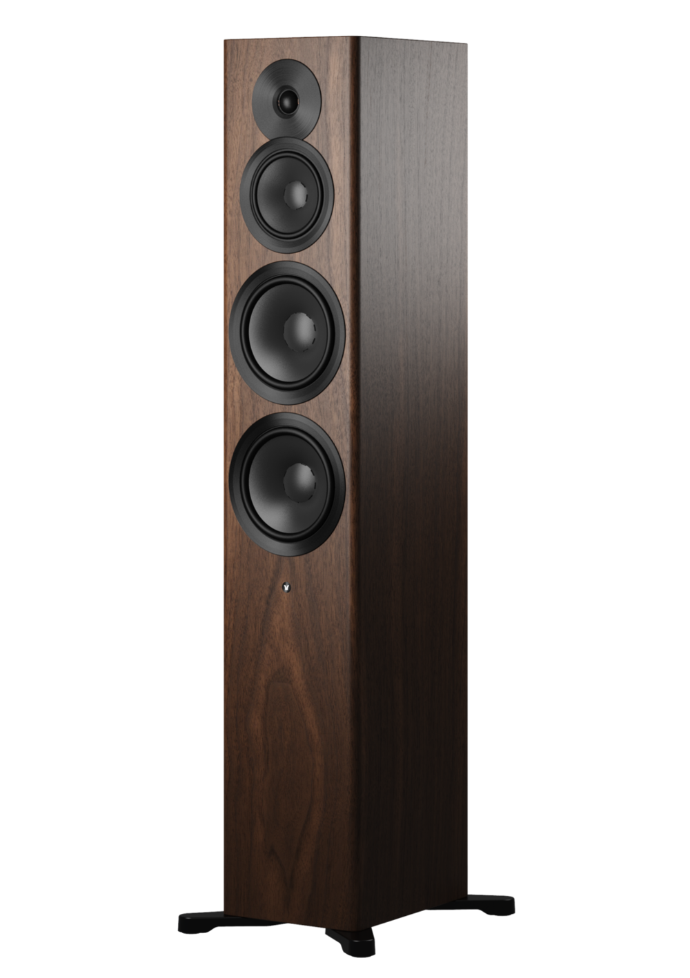 Dynaudio Focus 50 Nussbaum