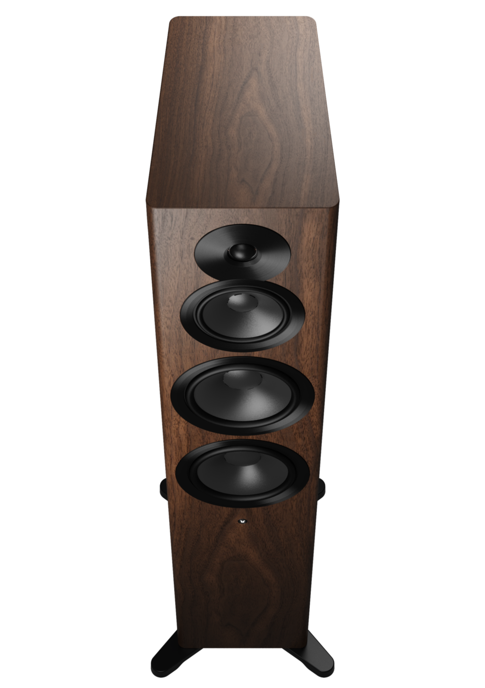 Dynaudio Focus 50 Nussbaum