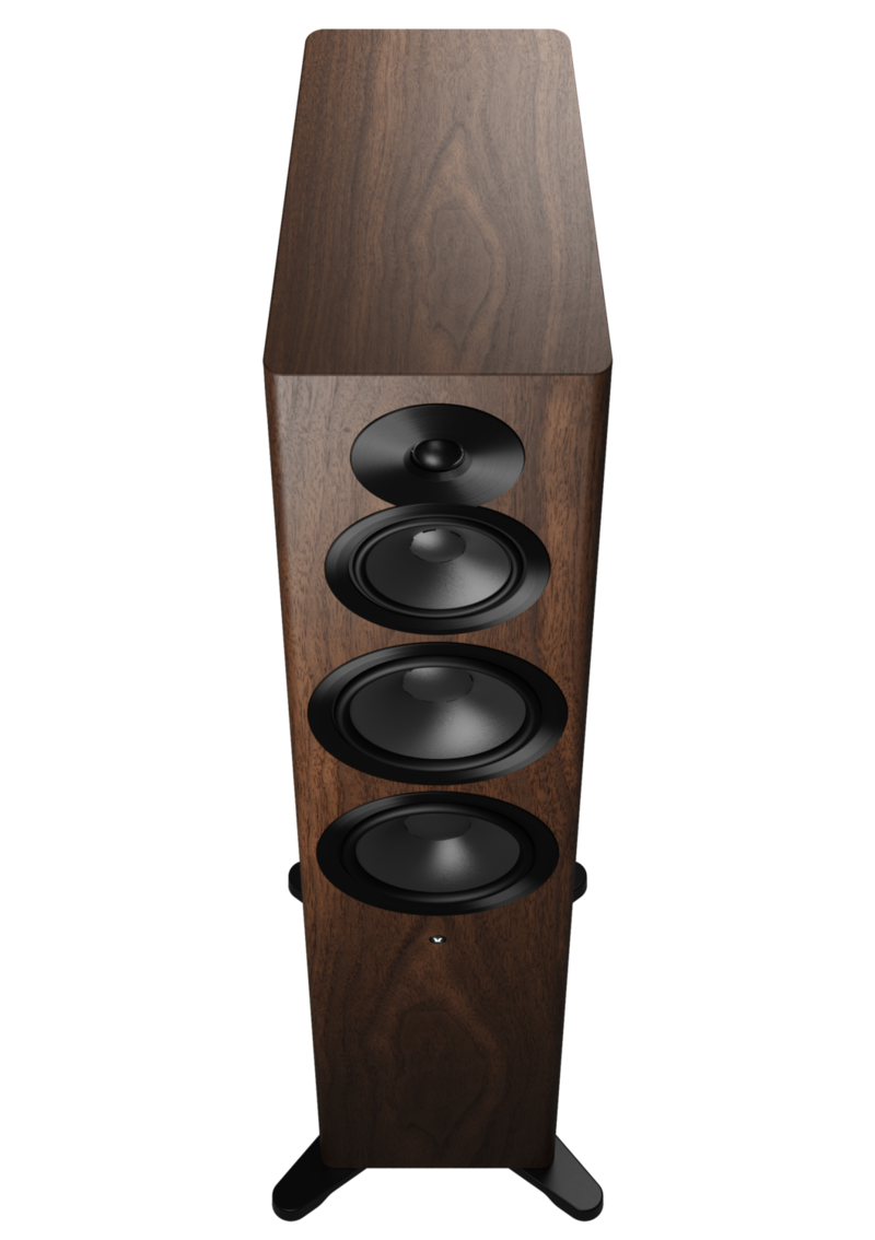 Dynaudio Focus 50 Nussbaum