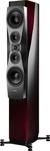 Dynaudio Confidence 60 Dynaudio Confidence 60 Ruby Wood