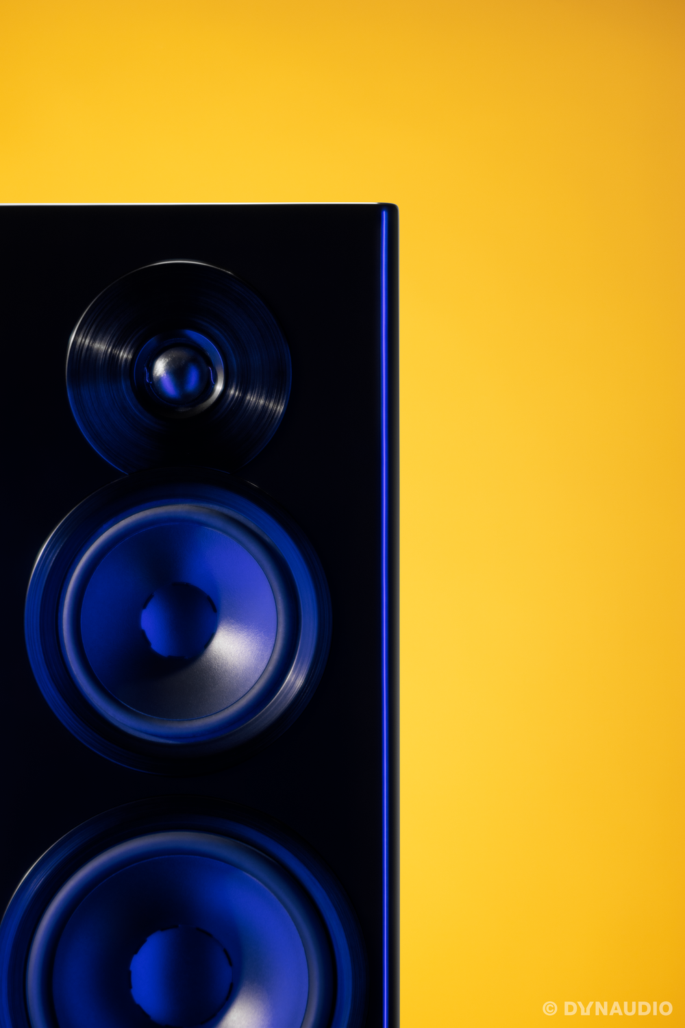 Dynaudio Focus 50 Schwarz Hochglanz