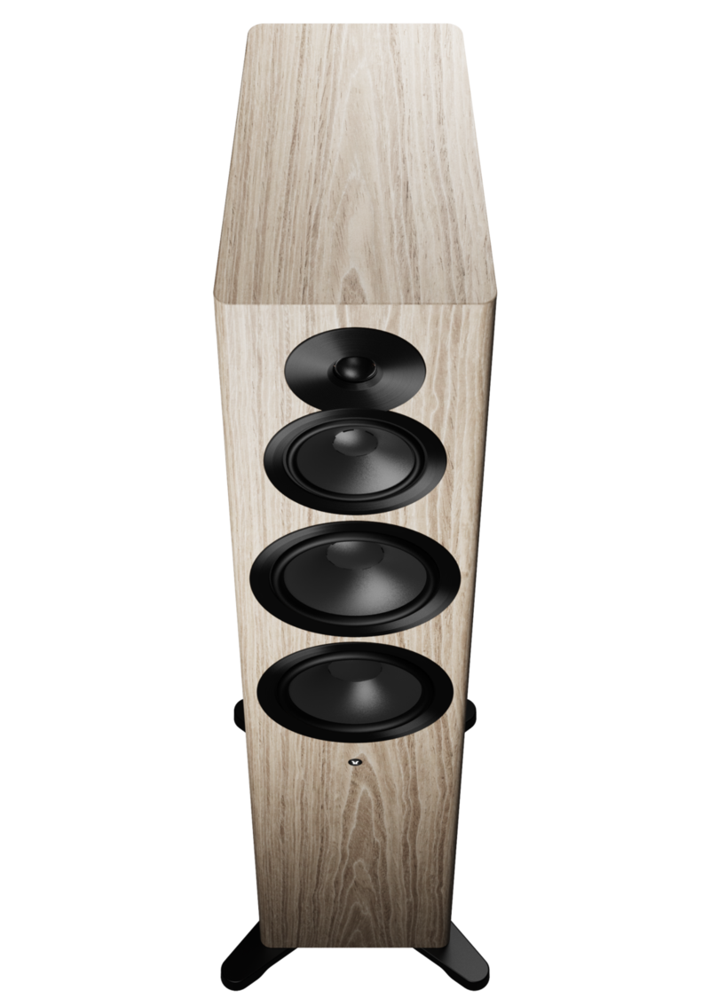 Dynaudio Focus 50 Blonde Wood