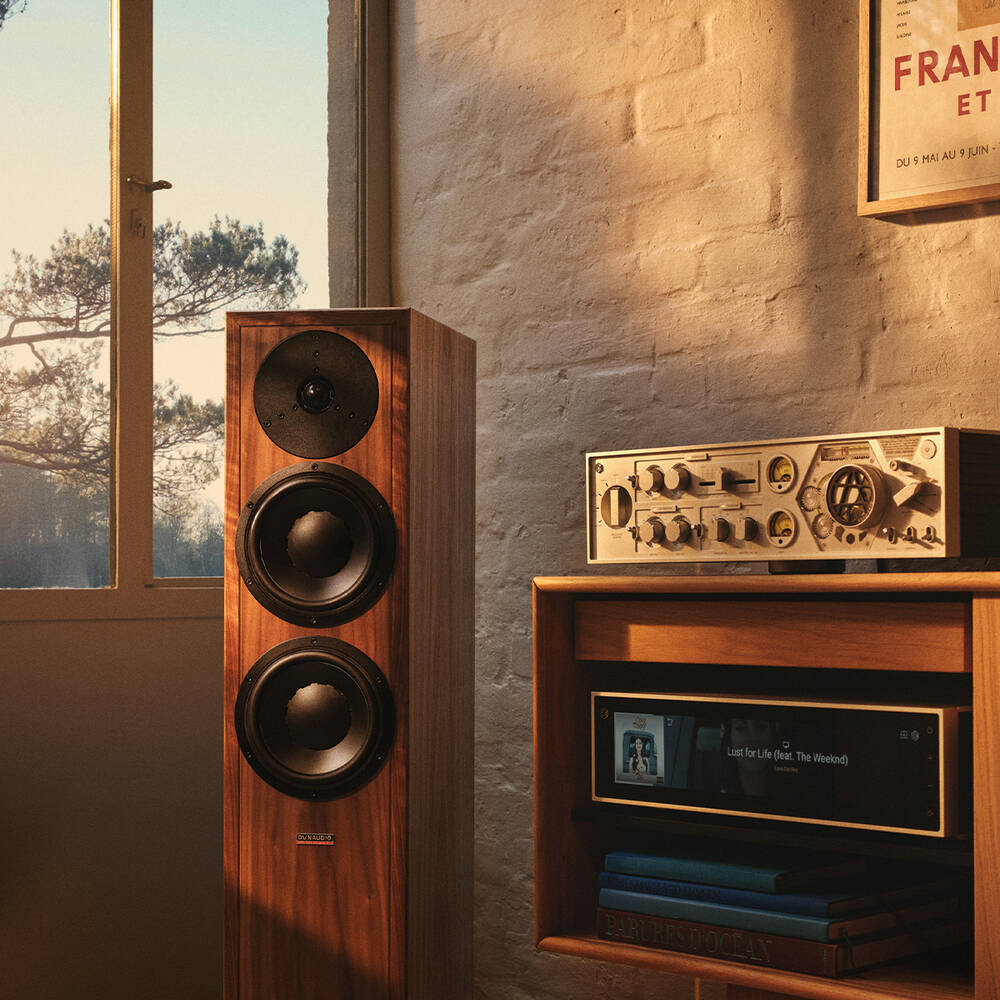 Dynaudio Contour Legacy American Walnut