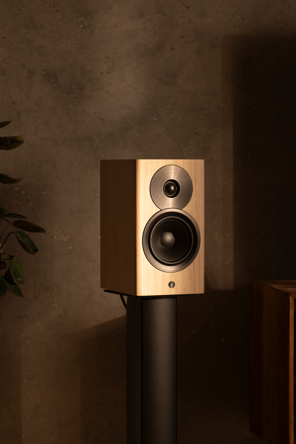 Dynaudio Focus 10 Blonde Wood