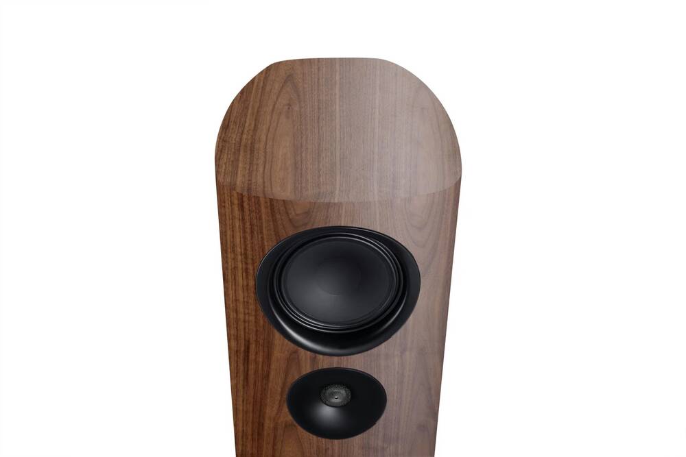 Canton Reference 5 GS Nussbaum