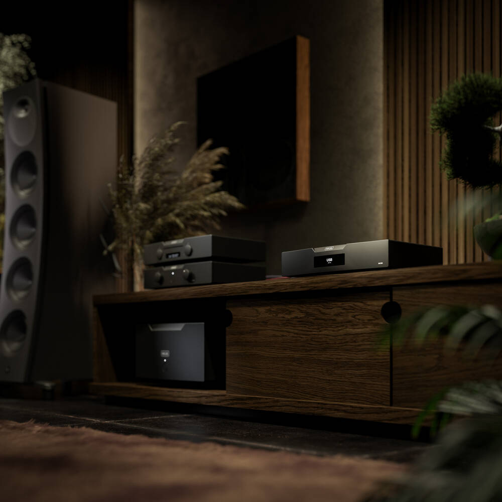 Hegel D50 (B-Ware)